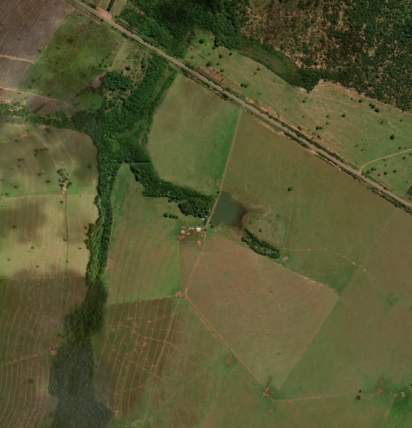 Imagem de satélite da Fazenda Santa Rita, em Ribas do Rio Pardo (MS), com os oito piquetes desenhados